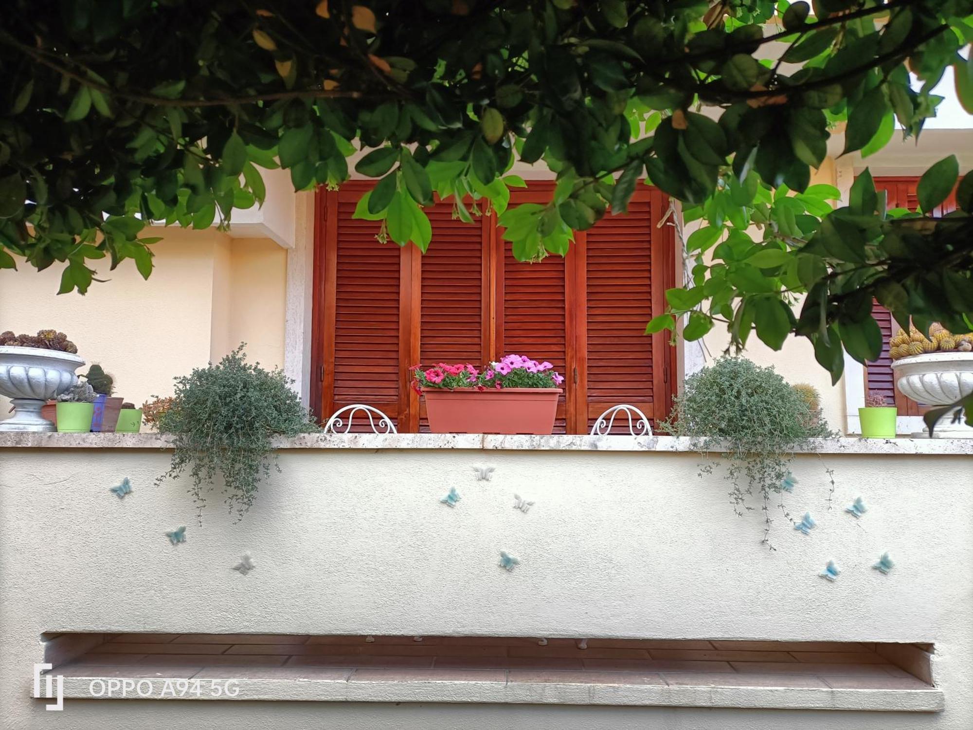 Gemma Di Gallura Charme B&B Olbia Eksteriør billede